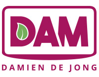 Logo Damien de jong contact