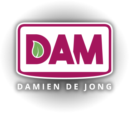 Logo Damien de Jong