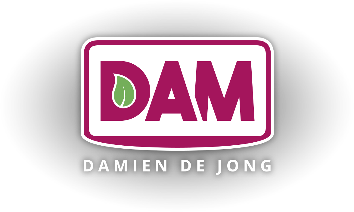 Logo Damien de Jong